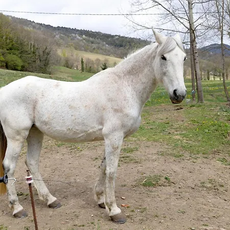 El Moli De Culi Llanars